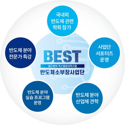 비교과 프로그램 유형